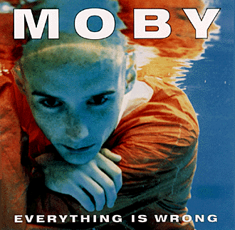 [Everything Is Wrong sleeve]