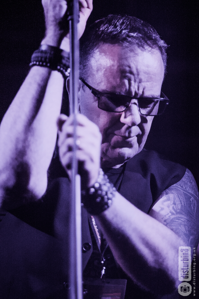 [Among The Echoes photo]