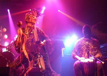 [Goat live photo]