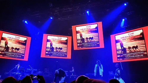dsoaudio gig photo