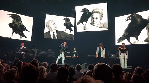 dsoaudio gig photo