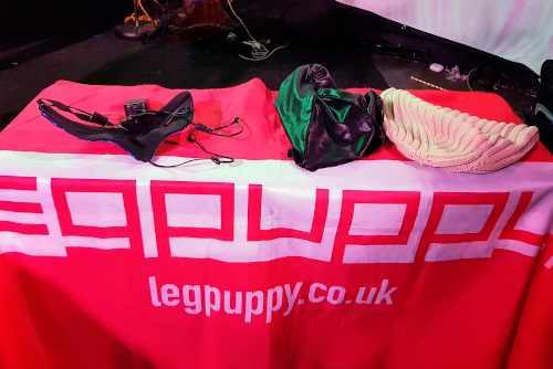 Leg Puppy Dublin Castle 2023
