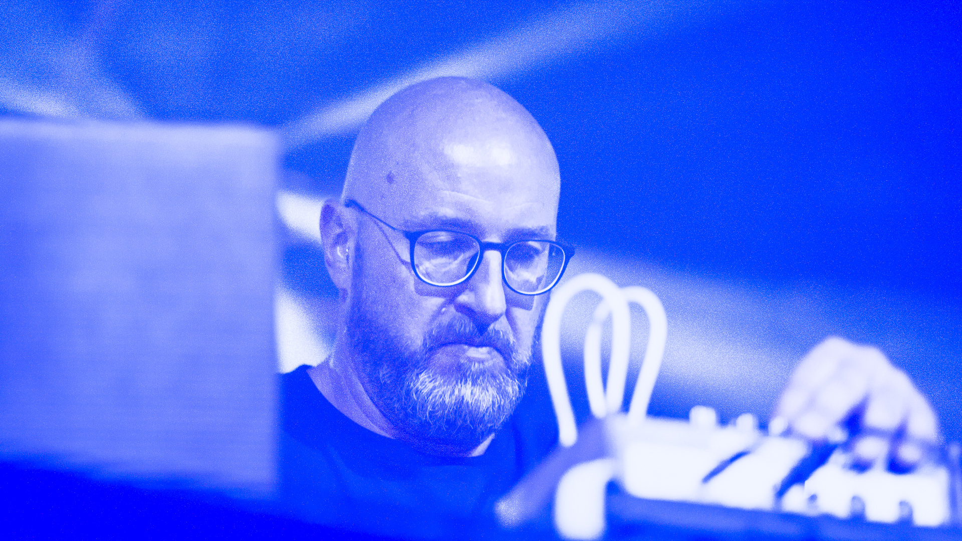 Liebknecht, Infest festival 2018