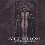 [Dante's Kitchen sleeve]