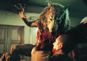 Dog Soldiers