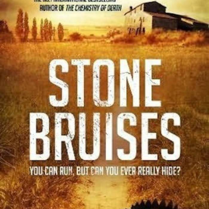 [Stone Bruises sleeve]