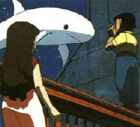 [Peek the Baby Whale]