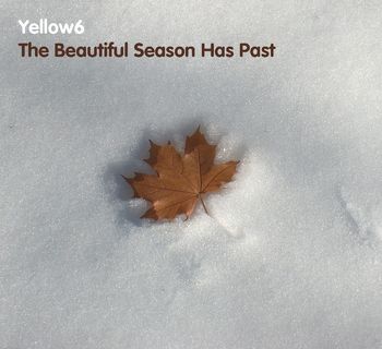 Yellow6